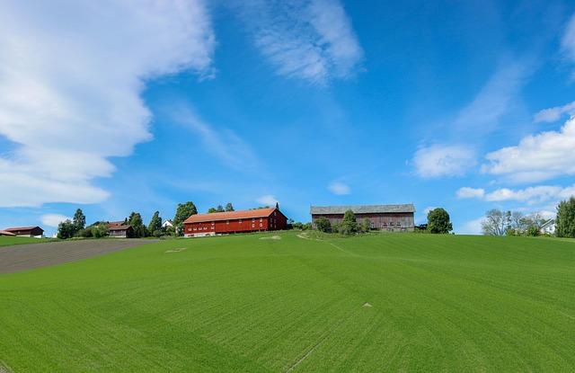 Oslo Travel Guide: Experience the Best of Norway's Culture, Nature, and Urban Adventures